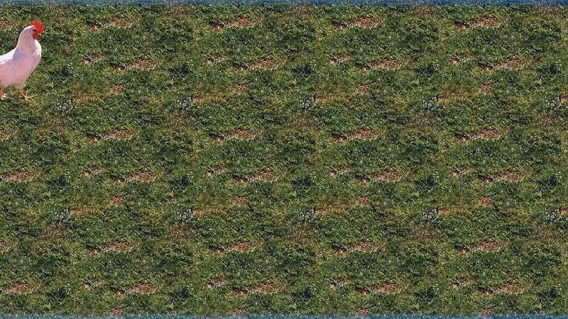 Screenshot of Agitated Chicken