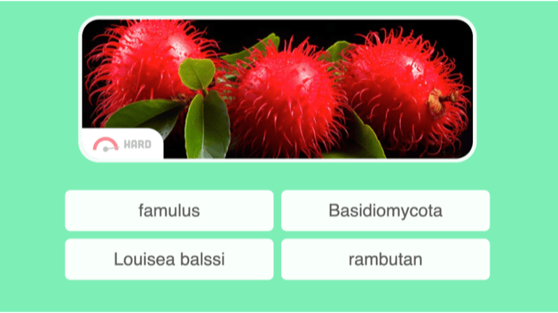 Screenshot of BeanBeanBean