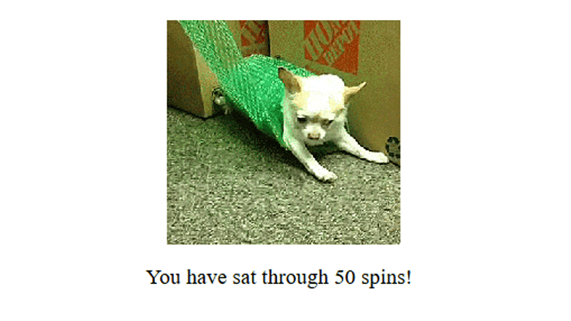 Screenshot of Chihuahua Spin
