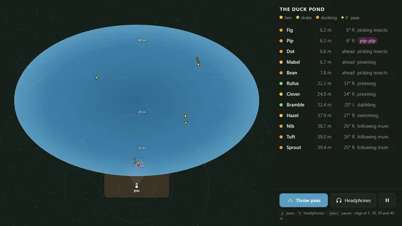 Screenshot of The Duck Pond