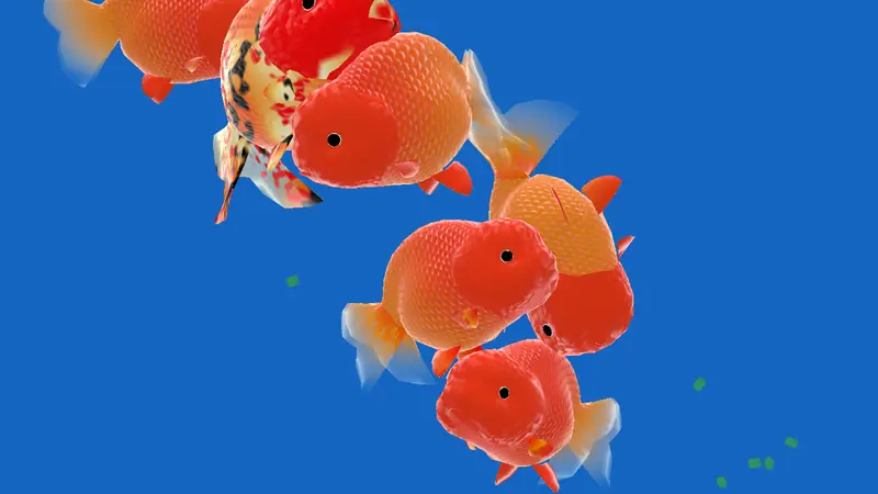 Screenshot of Goldfishies