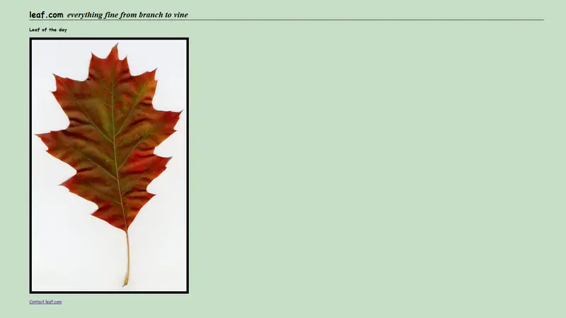 Screenshot of Leaf.com