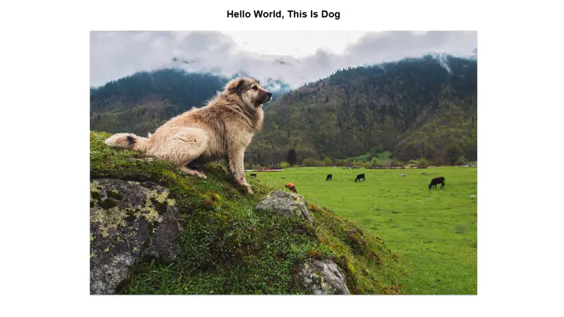 Screenshot of Random Dog