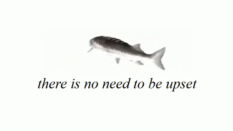 Screenshot of There Is No Need To Be Upset