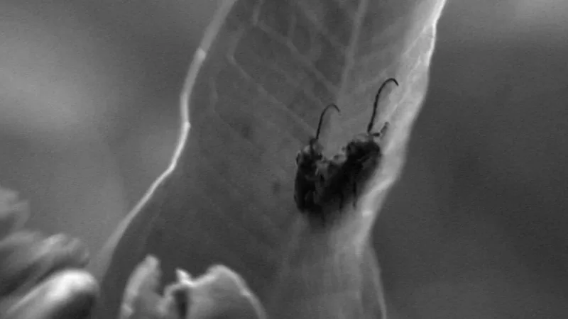 Screenshot of A Way To Go